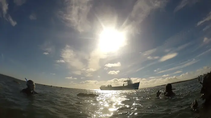 UK Freediving - Farnes