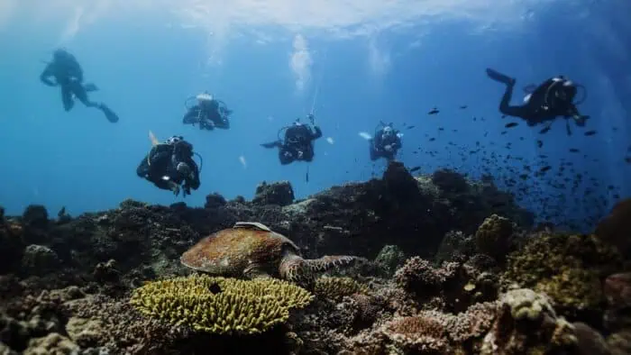 From Open Water to Divemaster. Photo by Steve Kyrou 